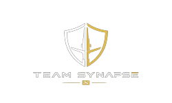 Team Synapse