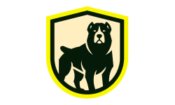 Team Solo