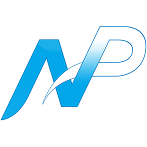 Логотип Team NP