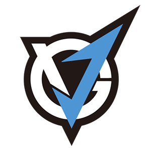 Логотип Team VG.J