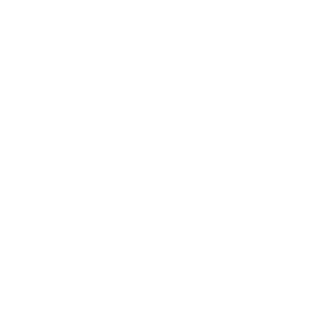 Логотип Invictus Gaming
