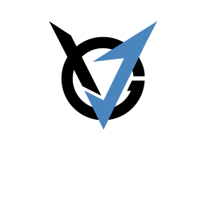 Логотип VGJ Storm